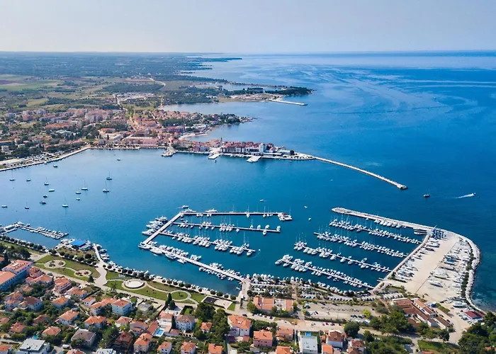 Nika-8 By Interhome Lejlighed